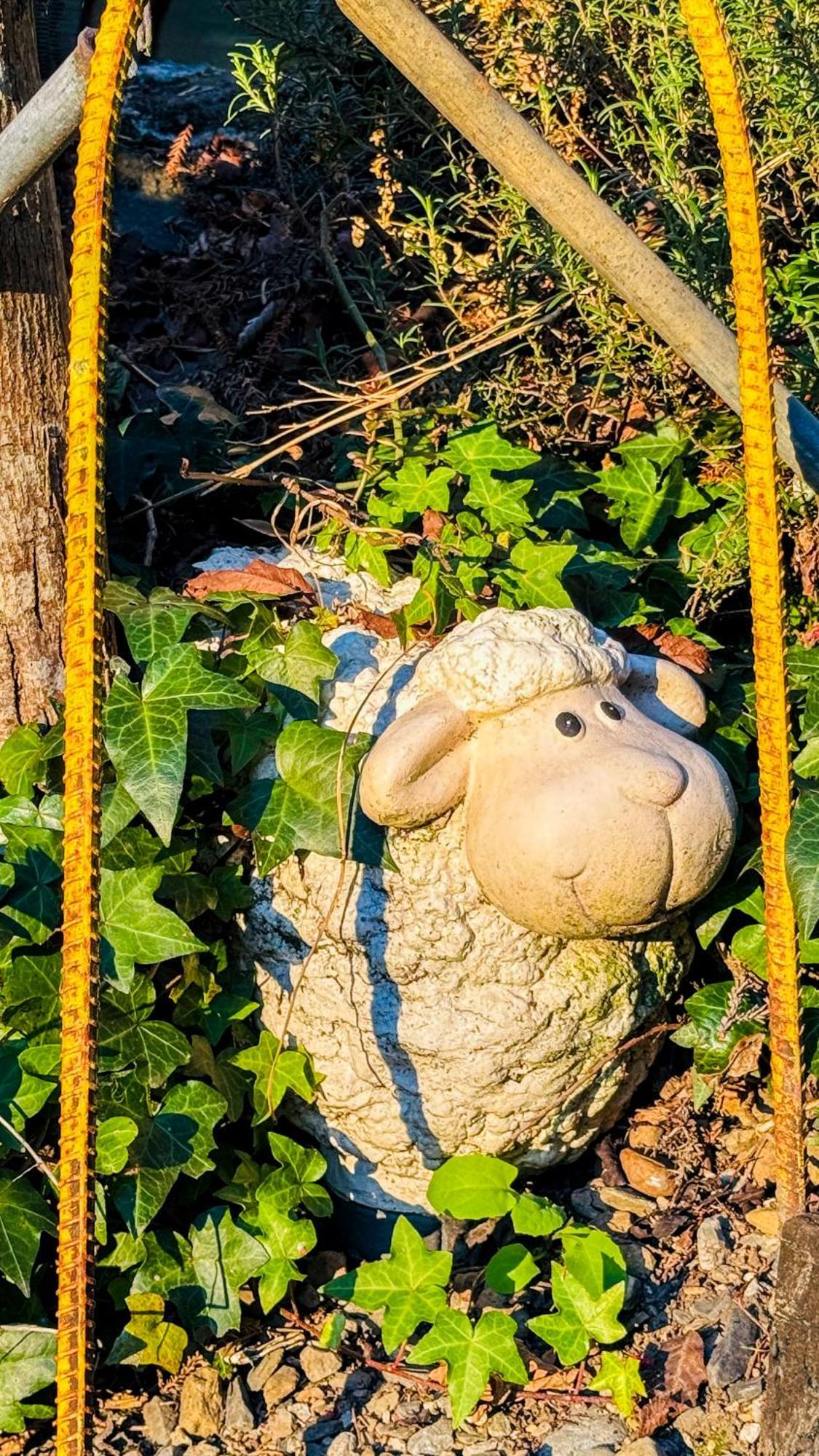 31 Homestay Ren'ai Esterno foto
